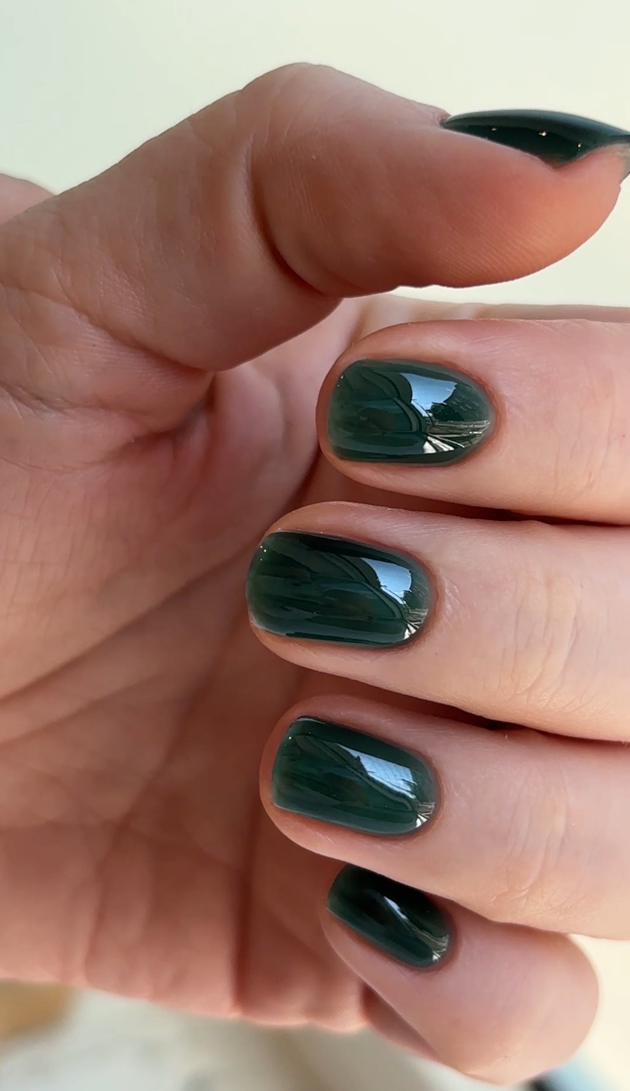 THE COLOR TO BUILD ''Nori'' Hema Free