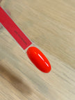 THE COLOR TO BUILD ''Are you Ready'' Hema Free