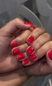 THE COLOR TO BUILD ''Himbeere '' Hema Free