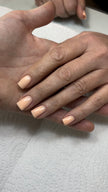 THE COLOR TO BUILD „Nectarine Smoothie“