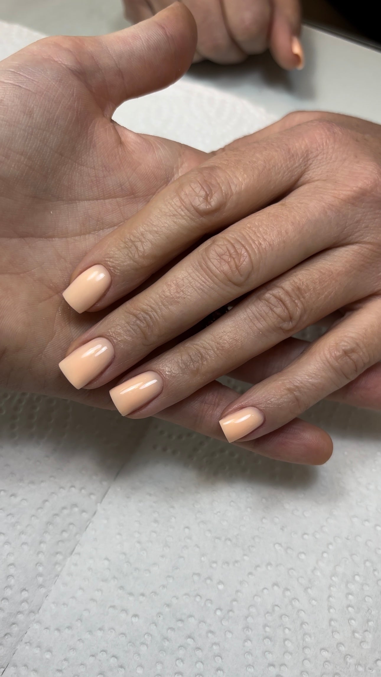 THE COLOR TO BUILD „Nectarine Smoothie“