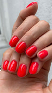 THE COLOR TO BUILD “Marilyn”