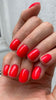 THE COLOR TO BUILD “Marilyn”