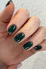 THE COLOR TO BUILD ''Nori'' Hema Free