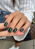 THE COLOR TO BUILD ''Nori'' Hema Free
