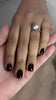 THE COLOR TO BUILD “Laila”