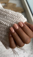 THE COLOR TO BUILD “Breakfast in LA”