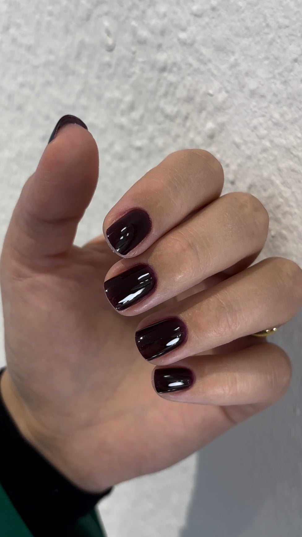 THE COLOR TO BUILD “Laila”