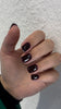 THE COLOR TO BUILD “Laila”