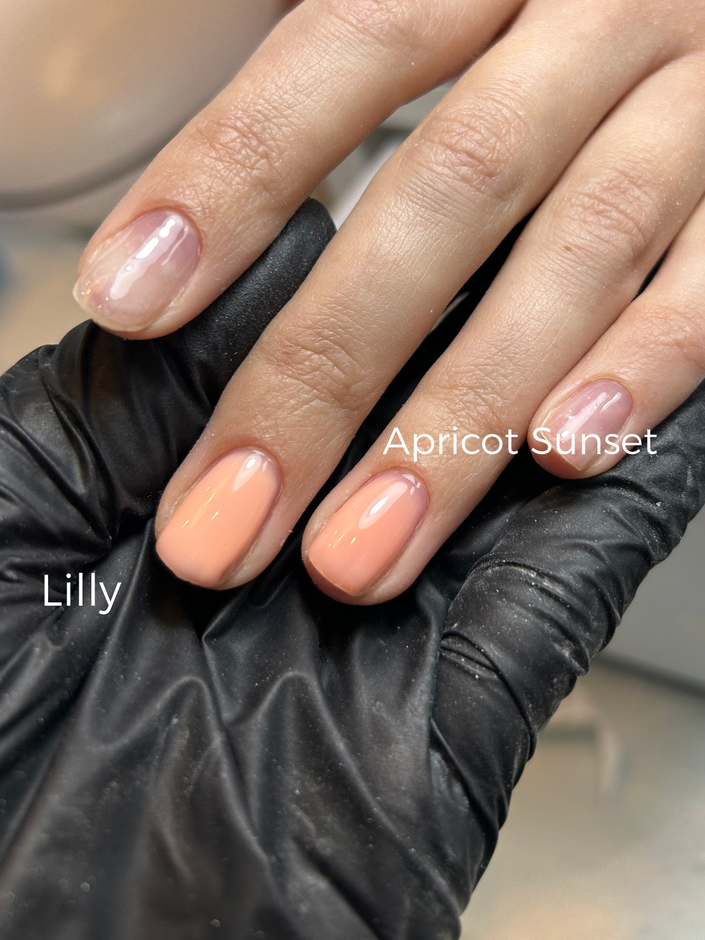 Shellac Color Base 